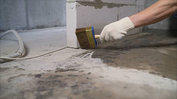 Top rated local Wet Basement Repair specialists in Reliance, TN
